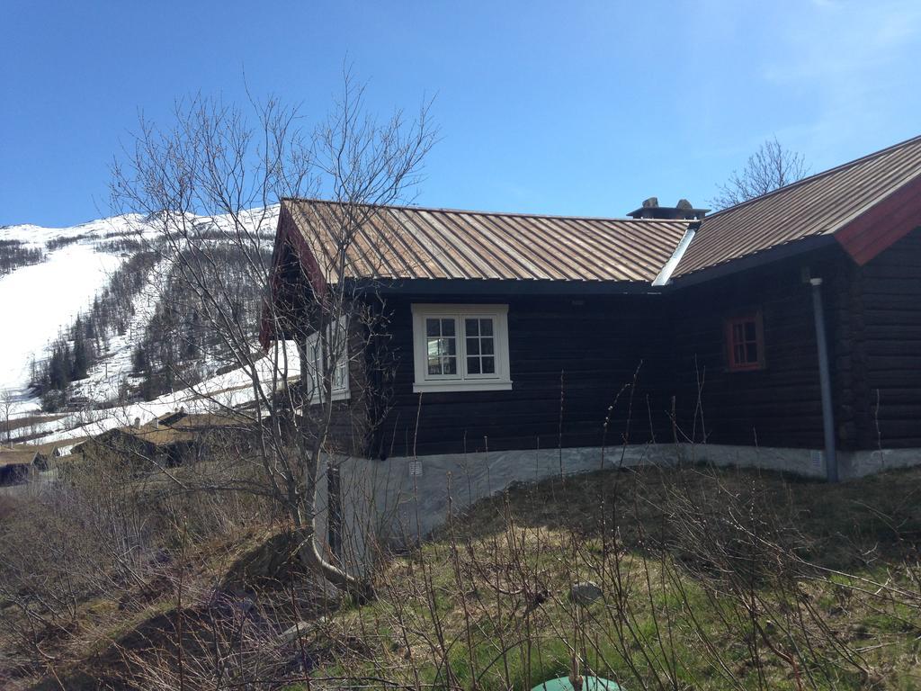Alpelia Villa Hemsedal Buitenkant foto